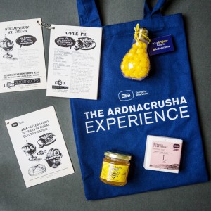 ESB Ardnacrusha Good Bag